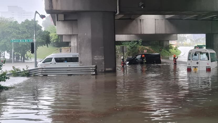 Heavy rainfall leads to Flash Floods across various parts of Singapore: PUB